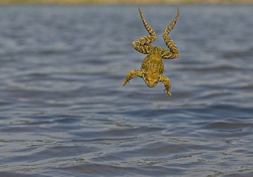 IMG_6635ok