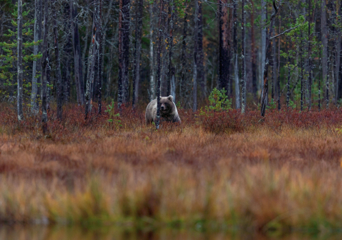 063A4820okm